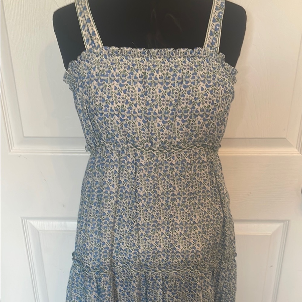 Max studio Floral Blue and White Women's Dress